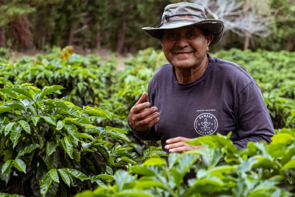 A coffee farmer.